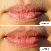 Kukui Oil Lip Treatment (Available in 5 Shades)
