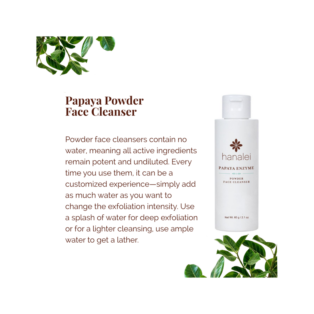 papaya gentle exfoliating cleanser