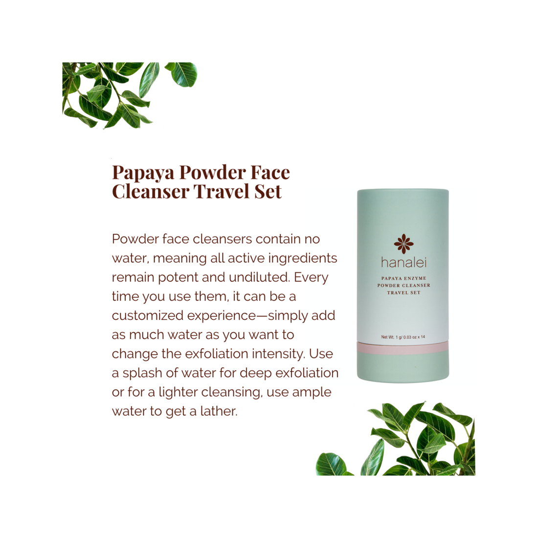 papaya gentle exfoliating cleanser