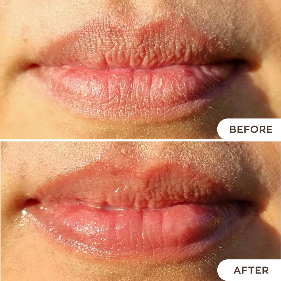 Kukui Oil Lip Treatment (Available in 5 Shades)