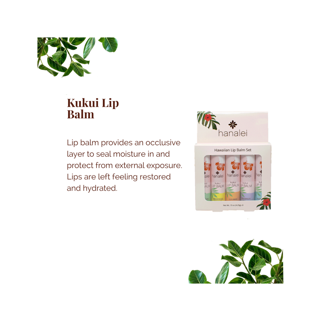 kukui oil lip balm