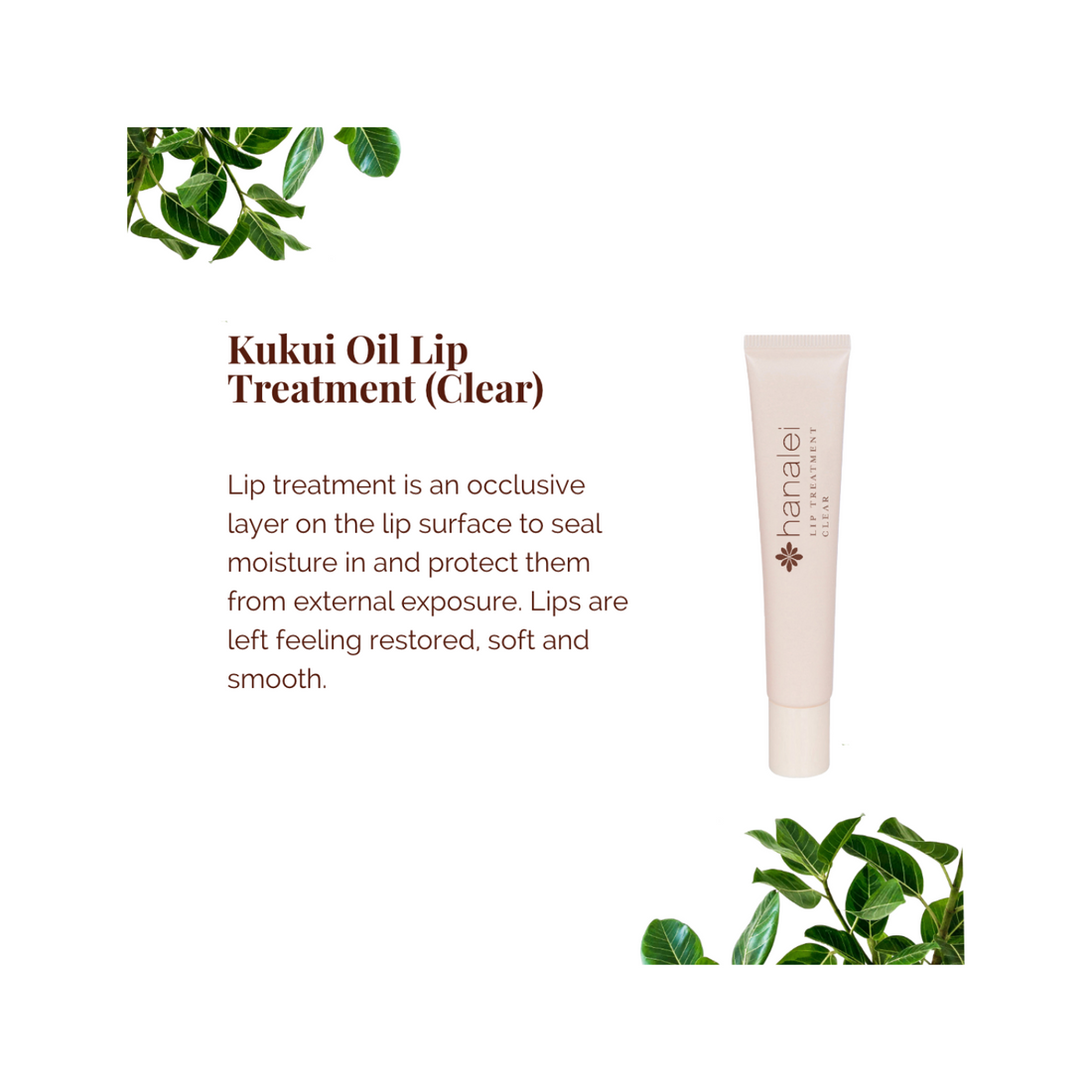 Kukui Oil Lip Treatment (Available in 5 Shades)