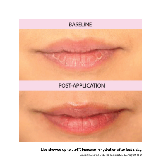 Kukui Oil Lip Treatment Available in 7 Shades Hanalei Company