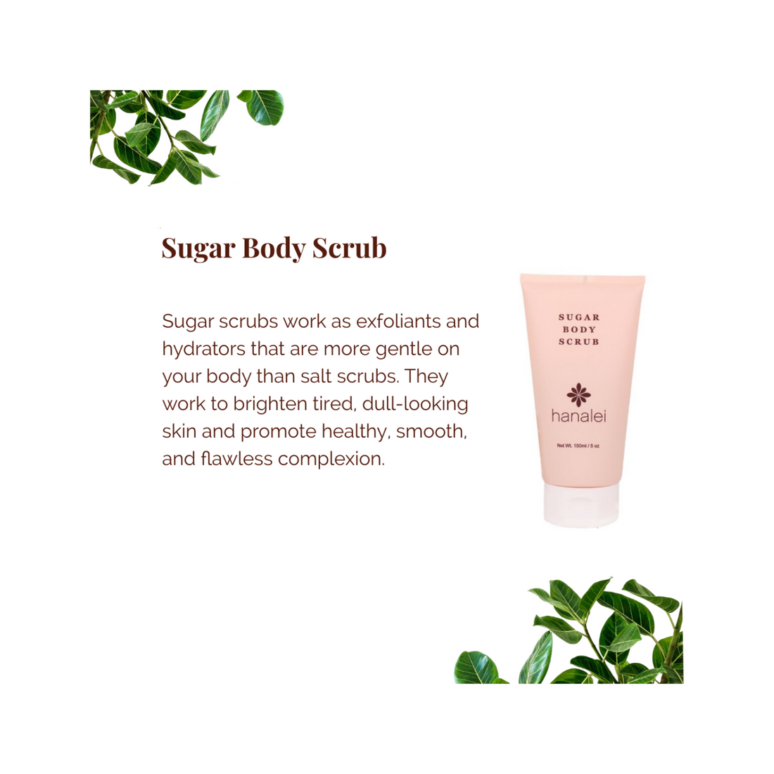 sugar body scrub