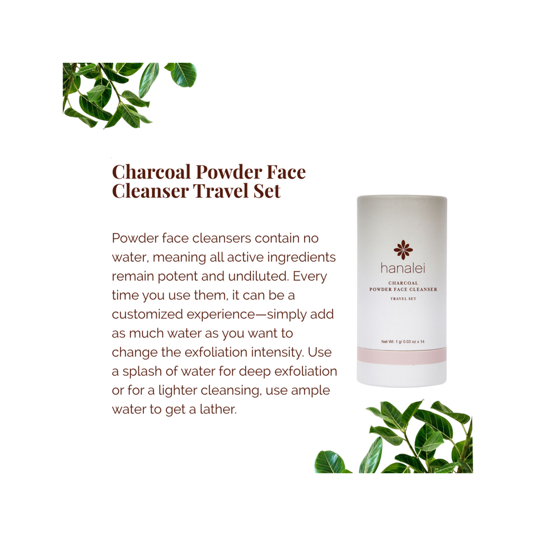 charcoal powder face cleanser